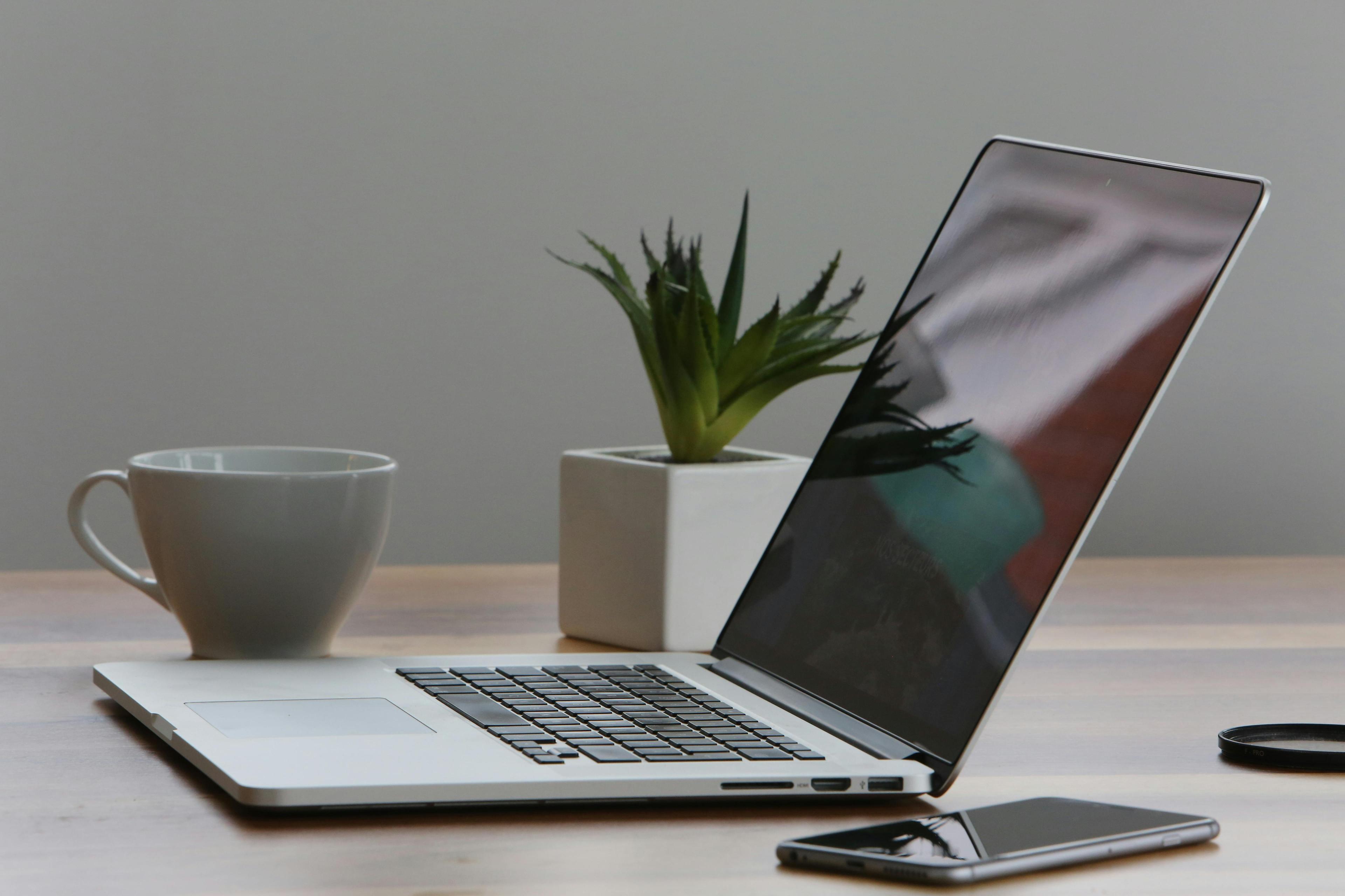 Web Design & Development